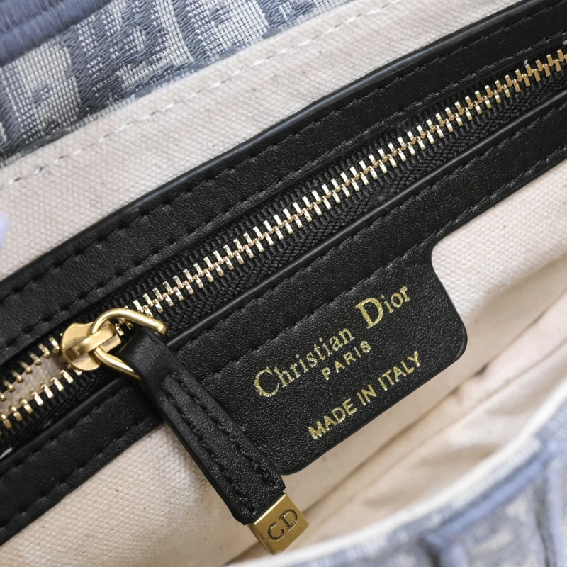 Dior Saddle bag-D010