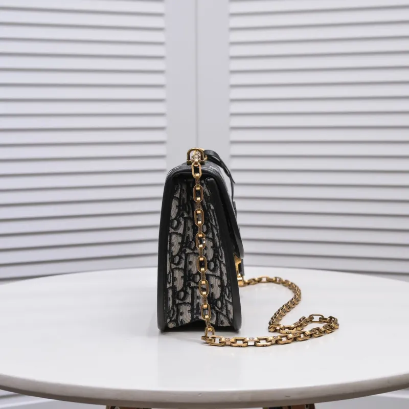 Dior-shoulder bag-D011