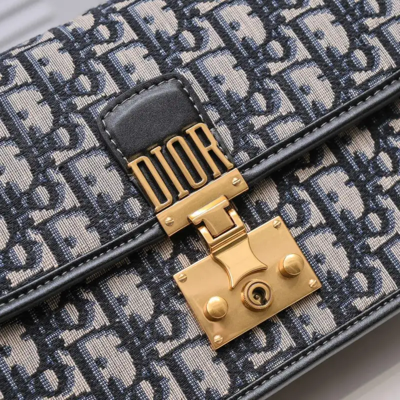 Dior-shoulder bag-D011