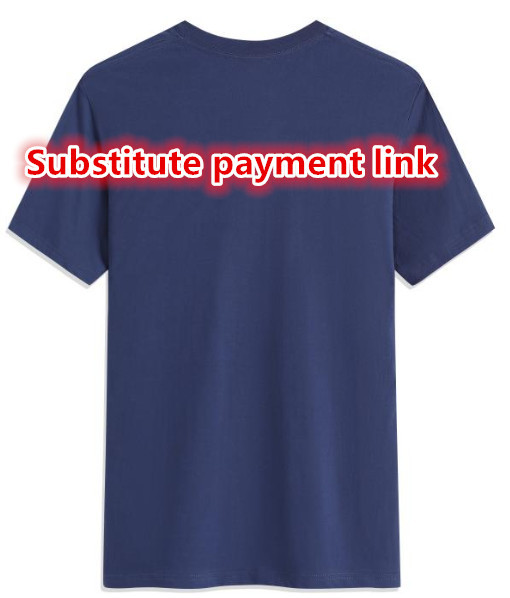 17 Substitute payment link