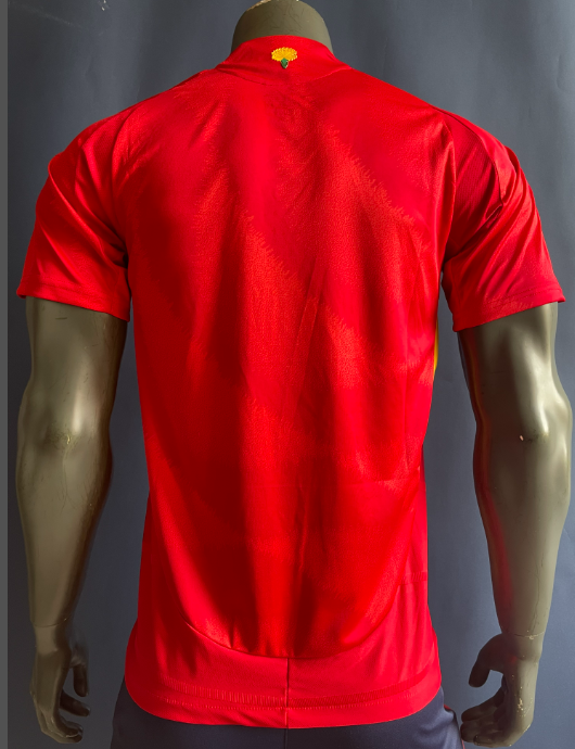 Spain Player edition 24 25 Spain adult jersey 2024 2025  Home and away Spain soccer jersey 10-20 days. It will arrive in your country