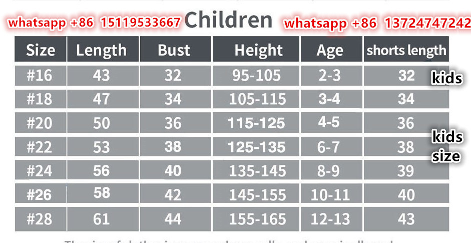 24 25 new Feyenoord  child jersey 2024 2025 adult kit kids kit  Home and away New adult 24 25 Feyenoord  soccer jersey 10-20 days. It will arrive in your country