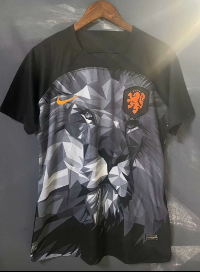new Netherlands training jersey 2024 2025  Home and away New adult 24 25 Netherlands soccer jersey 10-20 days. It will arrive in your country