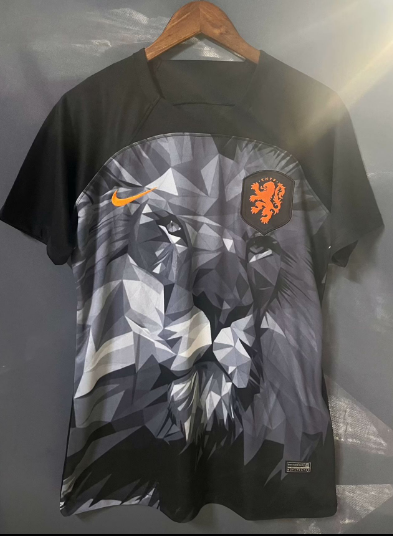 new Netherlands training jersey 2024 2025  Home and away New adult 24 25 Netherlands soccer jersey 10-20 days. It will arrive in your country