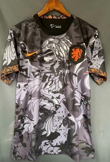new Netherlands training jersey 2024 2025  Home and away New adult 24 25 Netherlands soccer jersey 10-20 days. It will arrive in your country