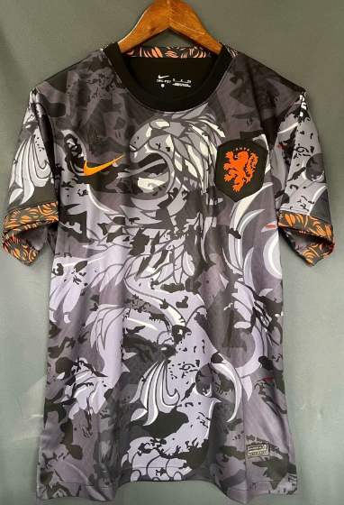 new Netherlands training jersey 2024 2025  Home and away New adult 24 25 Netherlands soccer jersey 10-20 days. It will arrive in your country