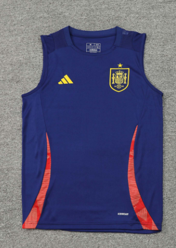 new Spain training jersey 2024 2025  Home and away New adult 24 25 Spain soccer jersey 10-20 days. It will arrive in your country