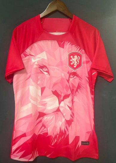 new Netherlands training jersey 2024 2025  Home and away New adult 24 25 Netherlands soccer jersey 10-20 days. It will arrive in your country