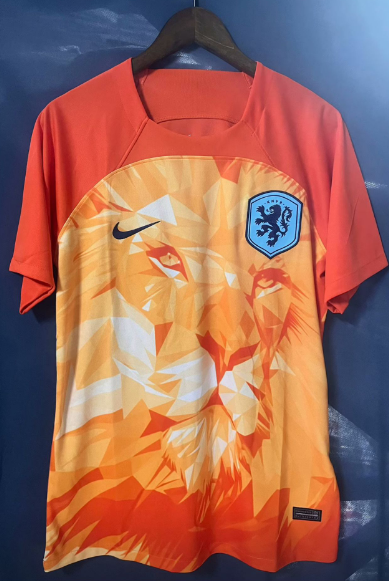 new Netherlands training jersey 2024 2025  Home and away New adult 24 25 Netherlands soccer jersey 10-20 days. It will arrive in your country