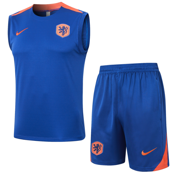 New training Netherlands jersey  Home and away New adult 24 25 Netherlands soccer jersey 10-20 days. It will arrive in your country