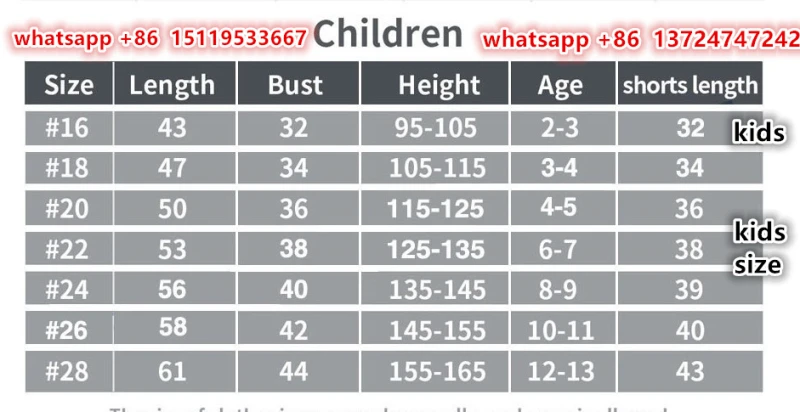 24 25 new Feyenoord  child jersey 2024 2025 adult kit kids kit  Home and away New adult 24 25 Feyenoord  soccer jersey 10-20 days. It will arrive in your country