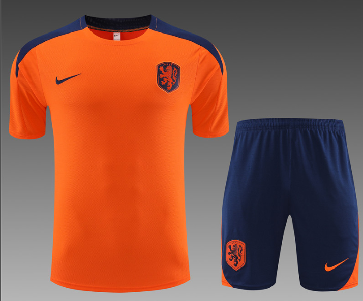 New training Netherlands jersey  Home and away New adult 24 25 Netherlands soccer jersey 10-20 days. It will arrive in your country