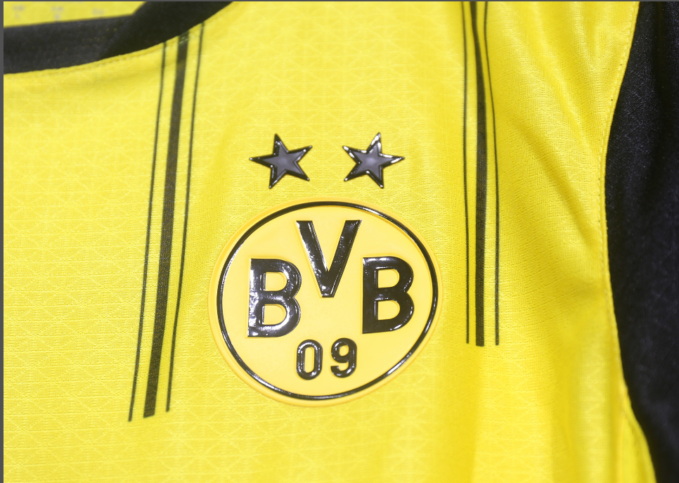 Player edition Dortmund jersey 2024 2025 Home and away New adult 24 25 Dortmund soccer jersey 10-20 days. It will arrive in your country