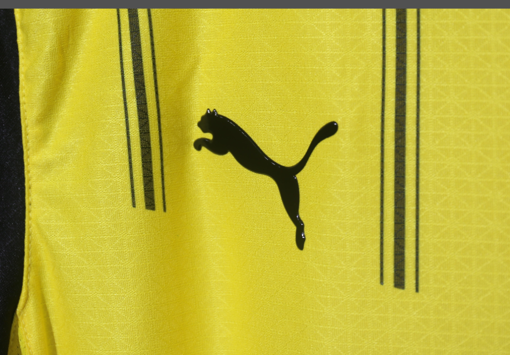 Player edition Dortmund jersey 2024 2025 Home and away New adult 24 25 Dortmund soccer jersey 10-20 days. It will arrive in your country