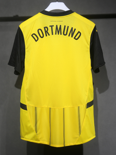 Player edition Dortmund jersey 2024 2025 Home and away New adult 24 25 Dortmund soccer jersey 10-20 days. It will arrive in your country