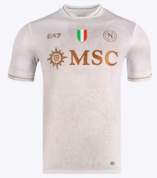 25 26 Napoli Training  jersey Home and away 2025 2026  Napoli  soccer jersey 10-20 days. It will arrive in your country