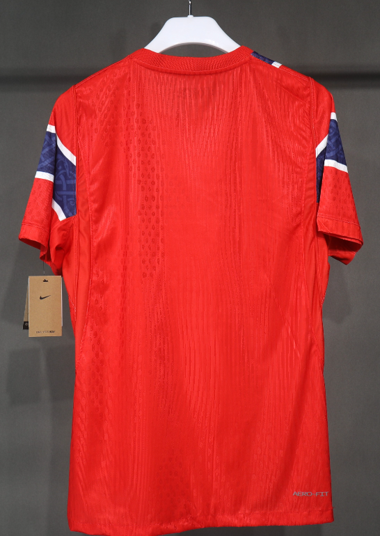 26 27 Player Version Norseland 2026 2027 World Cup National Team Norseland Player Version jersey Home and away 26 27 Norseland soccer jersey 10-18 days. It will arrive in your country
