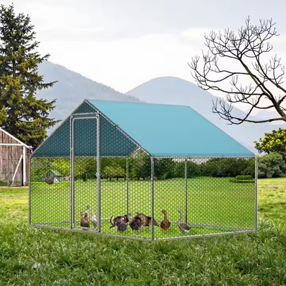 Backyard Chicken Coop