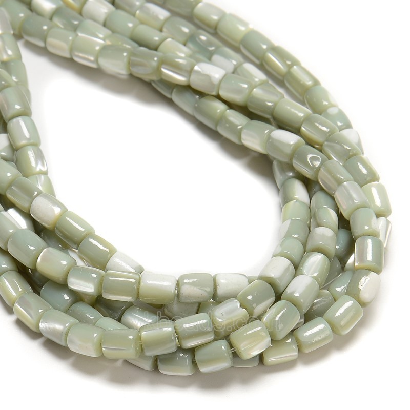 Light Green Natural Trochid Shell/Trochus Shell Smooth Barrel Beads, Approx 5x6mm, 38cm/strand