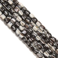 Brown Natural Trochid Shell/Trochus Shell Smooth Barrel Beads, Approx 5x6mm, 38cm/strand