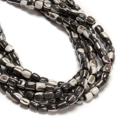 Brown Natural Trochid Shell/Trochus Shell Smooth Barrel Beads, Approx 5x6mm, 38cm/strand