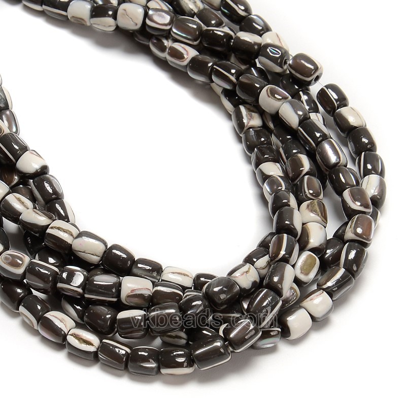 Brown Natural Trochid Shell/Trochus Shell Smooth Barrel Beads, Approx 5x6mm, 38cm/strand