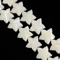 White Natural Trochid Shell/Trochus Shell Carved Starfish Shaped Beads, Approx 23.5-25mm, 38cm/strand