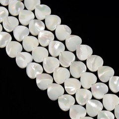 White Natural Trochid Shell/Trochus Shell Through-drilled Smooth Flat Heart Beads, Approx 10mm, 38cm/strand