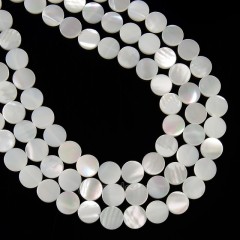 White Natural Trochid Shell/Trochus Shell Smooth Flat Round Coins, Approx 9.7-9.8mm, 38cm/strand