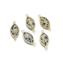 Dalmatian Jasper