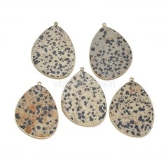 Dalmatian Jasper