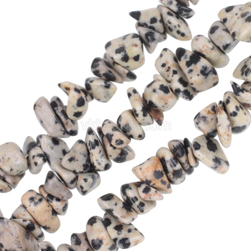 Dalmatian Jasper Chips Strands, Approx 5x8mm, 80cm/strand