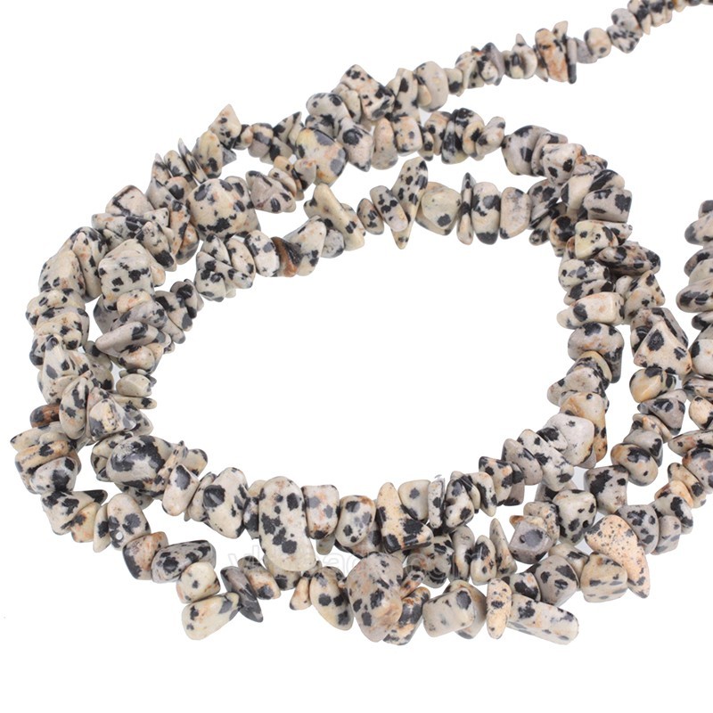 Dalmatian Jasper Chips Strands, Approx 5x8mm, 80cm/strand