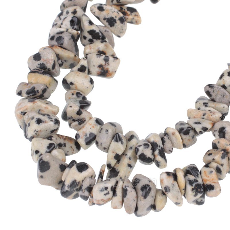 Dalmatian Jasper Chips Strands, Approx 5x8mm, 80cm/strand
