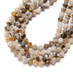 American Petrified Wood Faceted Bicone Beads Strands, Approx 8mm, 38cm/strand