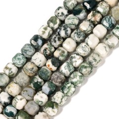 Tree Agate Faceted Cube Beads Strands, Approx 8-9mm, 38cm/strand
