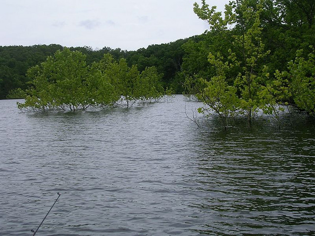 Whitewater Kayakers, Beware: Watch Out for These Hidden Killers