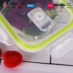 bento lunch box glass food container with 2 compartment microwave food container with pp lid