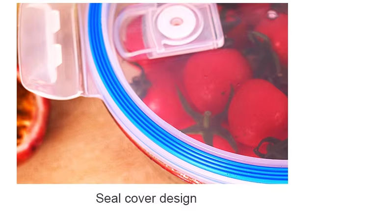 Cheap container preservation freshness compartments food storage containers