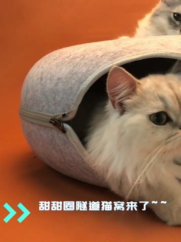 Cama Túnel Gato Interativa Tamanho G Donut Pet Brinquedo Caminha Felino Casa Casinha