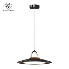 Italy design  cateen pendant，living room simplist modern style lamp，creative design  pendant
