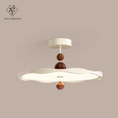 Italy design  cateen ceiling lamp，living room simplist modern style lamp，creative design colorful restaurant  ceiling light，bauhaus cream—coloured Lighting