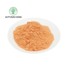 Tumeric Curcumin 95% Extract Powder curcumin 95