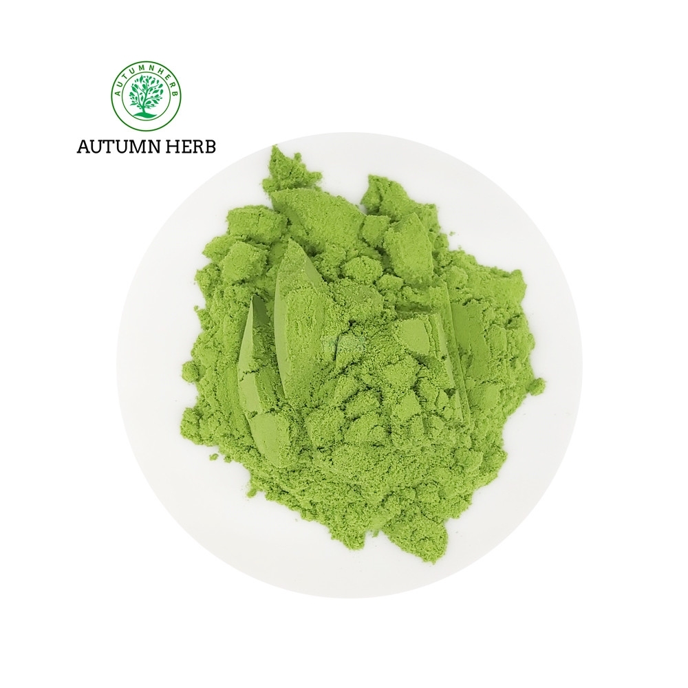 Venta al por mayor de té matcha en polvo, té verde matcha orgánico en polvo