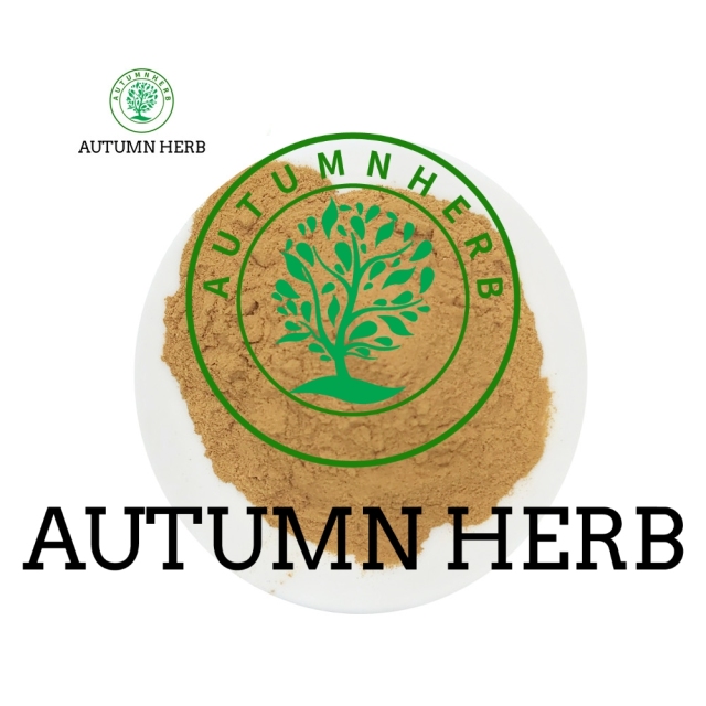 Sports Supplements 100% Natural Ajuga Turkestanica Extract 10% Turkesterone