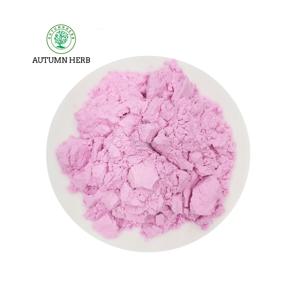 Water Soluble Red Dragon Fruit Powder