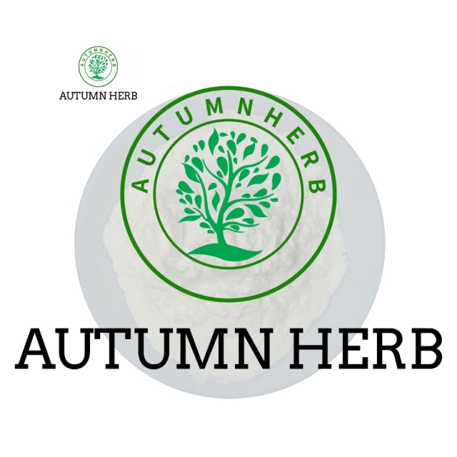 Best Quality 50% 99% Cas 28319-77-9 Alpha Gpc Powder