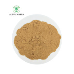Manufacturer Supply 10% Forskolin Coleus Forskohlii Extract