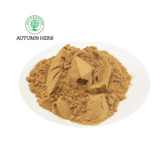 Hericium Erinaceus Extract Powder Polysaccharide 30% 50% Lions Mane Extract