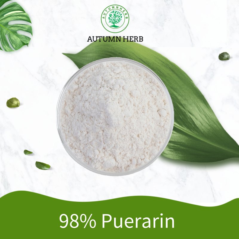 Extracto de Pueraria Mirifica de raíz de kudzu 98% Puerarin